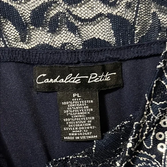 Elegant Navy and Silver Lace Cocktail Evening Dress - Picture 3 of 6